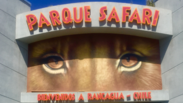 PARQUE SAFARI  (INCLUI ENTRADAS )